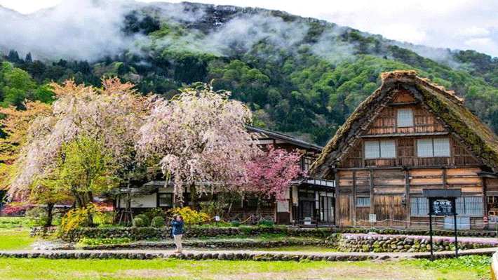 Ngôi làng cổ tích - Làng cổ Shirakawago.