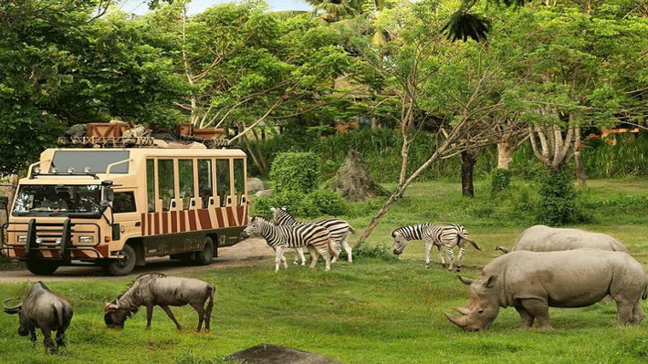 Safari World: Vườn thú mở tự nhiên lớn nhất Châu Á.