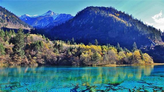 Thiên đường Cửu Trại Câu.