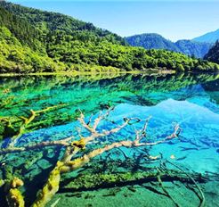 Tour Trung Quốc 6N5Đ: HCM - Thành Đô - Cửu Trại Câu - Công Viên Gấu Trúc - Đô Giang Yển