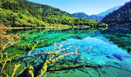 Tour Trung Quốc 6N5Đ: HCM - Thành Đô - Cửu Trại Câu - Công Viên Gấu Trúc - Đô Giang Yển