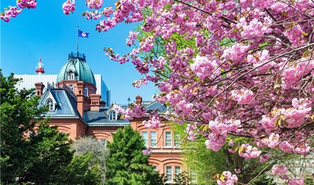 Tour Nhật Bản 6N5Đ: Hà Nội - Ngắm Hoa Anh Đào Hokkaido - Tokyo - Noboribetsu - Sapporo - Otaru