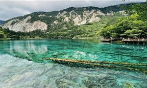 Cửu Trại Câu.