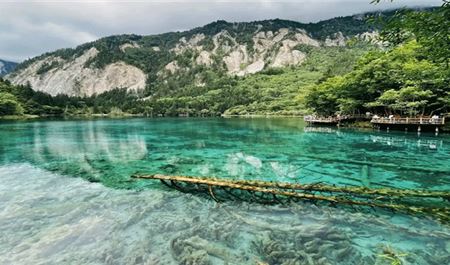 Tour Trung Quốc 6N5Đ: HCM - Hạ Môn - Trùng Khánh - Cửu Trại Câu - Đô Giang Yển - Công Viên Gấu Trúc