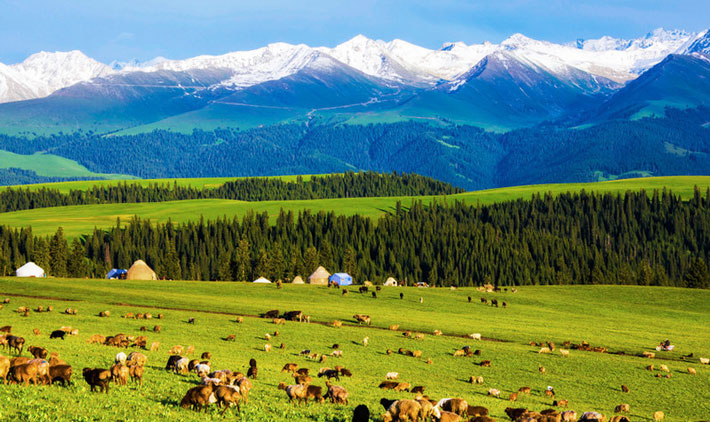 Khung cảnh thảo nguyên xanh mướt ở Tân Cương.