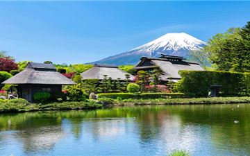Tour Nhật Bản 4N4Đ: HCM - Tokyo - Yamanashi - Núi Phú Sỹ - Narita