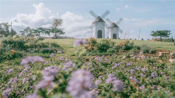 Khung cảnh thơ mộng trong Mongo Land.