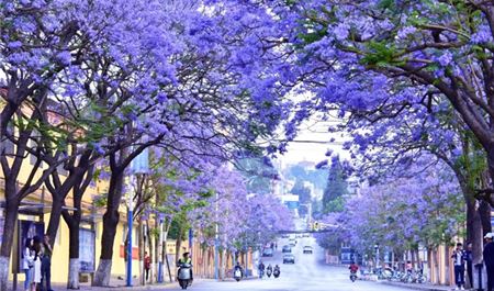 Tour Trung Quốc Đường Bộ 4N3Đ: Hà Nội - Hà Khẩu - Côn Minh - Santorini - Đại Lý Đi Đến Nơi Có Gió