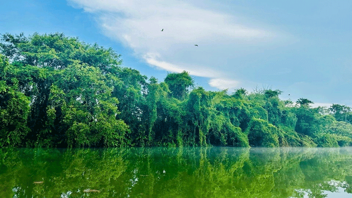 Khu Bảo Tồn Đồng Tháp Mười Tiền Giang