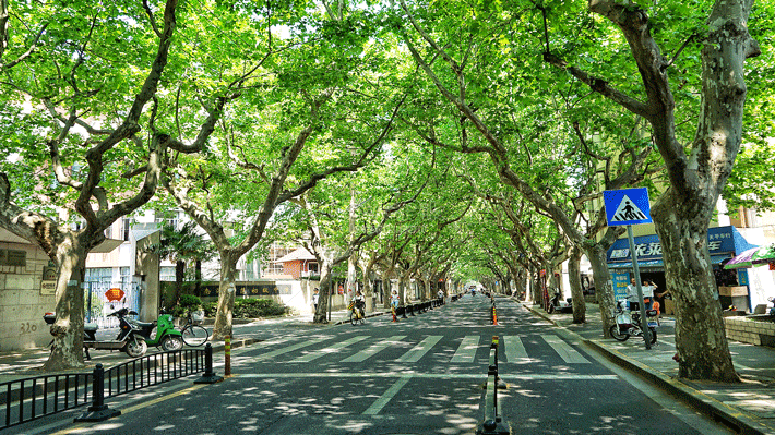 Đường Wukang.