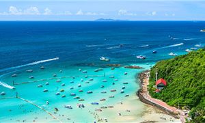 Đảo San Hô Koh Larn.
