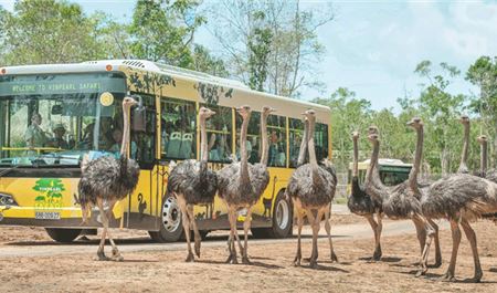 Tour Phú Quốc 3N2Đ: HCM - Vinpearl Safari - Vinwonders - Sunset Town