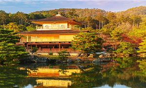 Chùa Vàng Kinkakuji.
