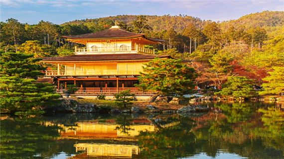 Chùa Vàng Kinkakuji.
