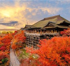 Tour Nhật Bản 5N5Đ: HCM - Osaka - Kyoto - Yamanashi - Tokyo