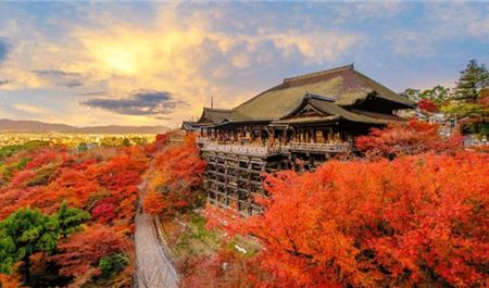 Tour Nhật Bản 5N5Đ: HCM - Osaka - Kyoto - Yamanashi - Tokyo