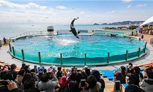 Kamogawa Sea World