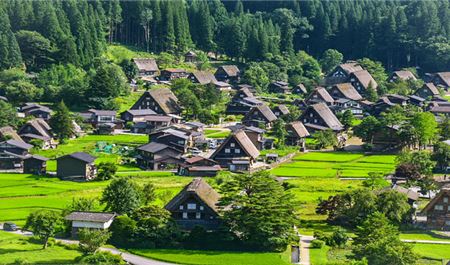 Tour Nhật Bản 6N5Đ: Hà Nội - Nagoya - Shirakawa Go - Phú Sĩ - Tokyo