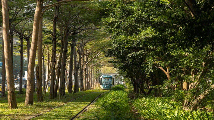 Đường hầm Totoro.