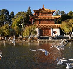 Tour Trung Quốc Đường Bộ 4N3Đ: Hà Nội - Hà Khẩu - Đại Lý - Côn Minh - No Shopping