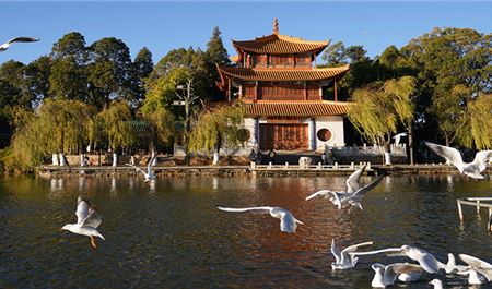 Tour Trung Quốc Đường Bộ 4N3Đ: Hà Nội - Hà Khẩu - Đại Lý - Côn Minh - No Shopping