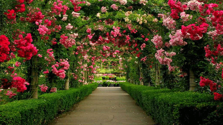 Butchart Garden.