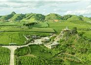 Tour Mộc Châu 2N1Đ: Hà Nội - Thác Dải Yếm - Happy Land - Mocha Hill