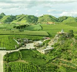 Tour Mộc Châu 2N1Đ: Hà Nội - Thác Dải Yếm - Happy Land - Mocha Hill