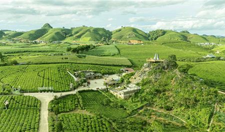 Tour Mộc Châu 2N1Đ: Hà Nội - Thác Dải Yếm - Happy Land - Mocha Hill