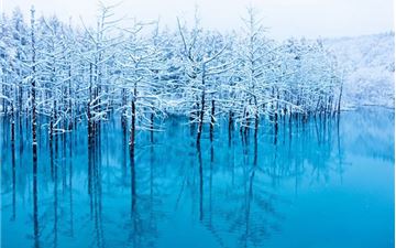 Tour Nhật Bản 6N5Đ: HCM - Hokkaido - Noboribetsu - Furano - Biei - Sapporo Mùa Đông