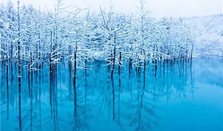 Tour Nhật Bản 6N5Đ: HCM - Hokkaido - Noboribetsu - Furano - Biei - Sapporo Mùa Đông