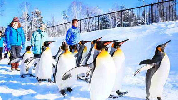 Vườn Thú Asahiyama.