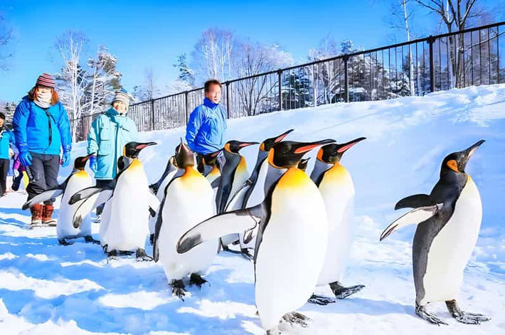 Nhật Bản 7N6Đ: HCM – Hokkaido – Asahikawa – Sapporo – Mùa Thu Lá Đỏ
