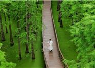 Tour Trung Quốc 5N4Đ: HCM - Thượng Hải - Hàng Châu - Ô Trấn - Free Day