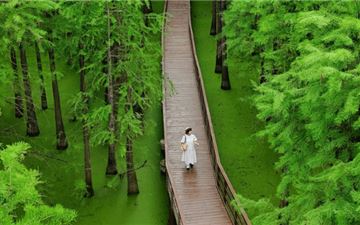 Tour Trung Quốc 5N4Đ: HCM - Thượng Hải - Hàng Châu - Ô Trấn - Free Day