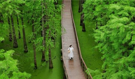 Tour Trung Quốc 5N4Đ: HCM - Thượng Hải - Hàng Châu - Ô Trấn - Free Day