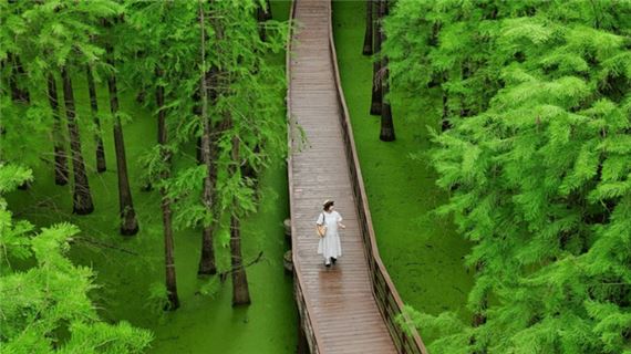 Đầm Lầy Thanh Sơn