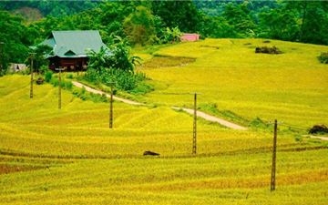 Tour Tây Bắc 2N1Đ: Hà Nội - Mai Châu - Pù Luông - Suối Cá Thần - Thác Mây