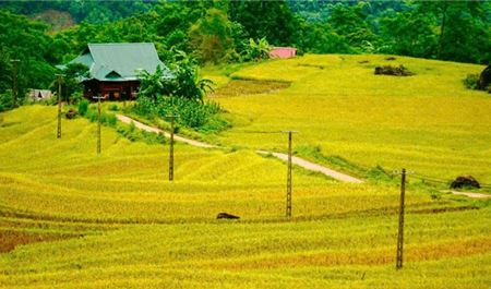 Tour Tây Bắc 2N1Đ: Hà Nội - Mai Châu - Pù Luông - Suối Cá Thần - Thác Mây