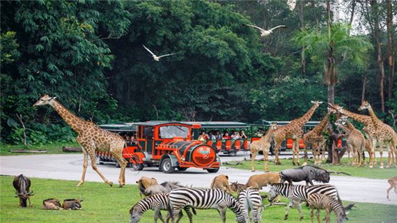 Công viên Động vật Hoang dã Trường Long, Thẩm Quyến.