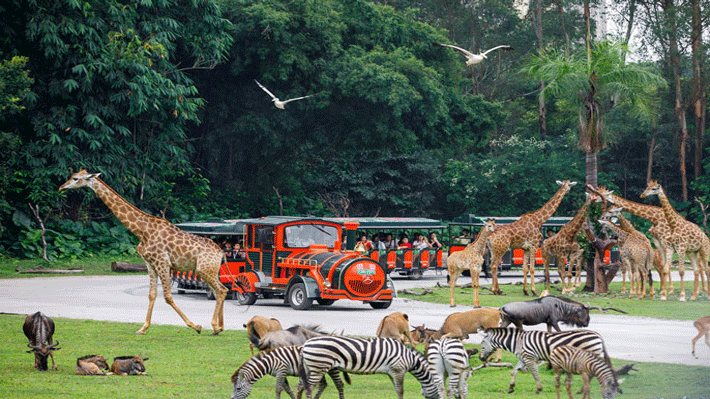 Công viên thế giới động vật hoang dã Trường Long Quảng Châu.