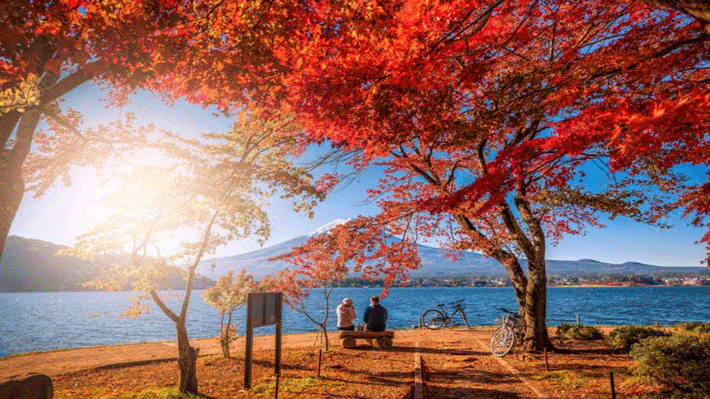 Nhật Bản 5N5Đ: HCM – Osaka – Kyoto – Núi Phú Sĩ – Tokyo – Mùa Thu
