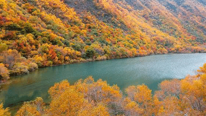 Thắng cảnh Tùng Bình Câu