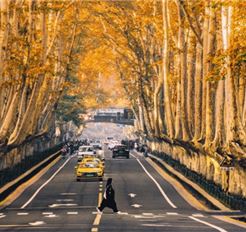 Tour Trung Quốc 6N5Đ: HCM - Nam Kinh - Ô Trấn - Hàng Châu - Thượng Hải - Disneyland (Option) - No Shopping