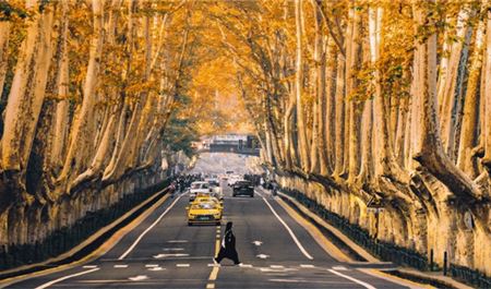 Tour Trung Quốc 6N5Đ: HCM - Nam Kinh - Ô Trấn - Hàng Châu - Thượng Hải - Disneyland (Option) - No Shopping