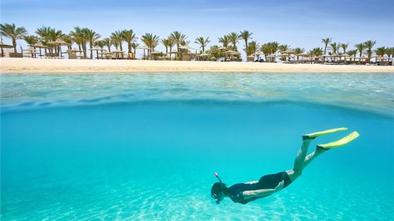 Lặn biển Ai Cập