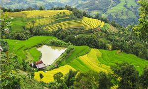 ivivu-hoang-su-phi-suoi-thau.jpg