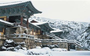 Tour Hàn Quốc 6N5Đ: HCM - Busan - Seoul - Gyeongju - Ulsan - Trượt Tuyết Elysian Gangchon
