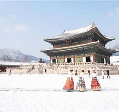 Tour Hàn Quốc 5N5Đ: HCM - Busan - Daegu - Seoul - Đảo Nami