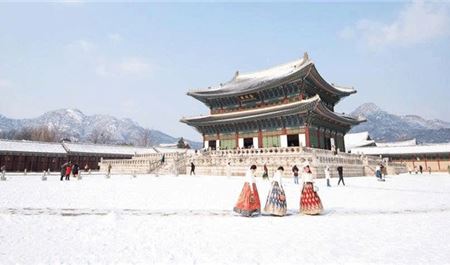 Tour Hàn Quốc 5N5Đ: HCM - Busan - Daegu - Seoul - Đảo Nami